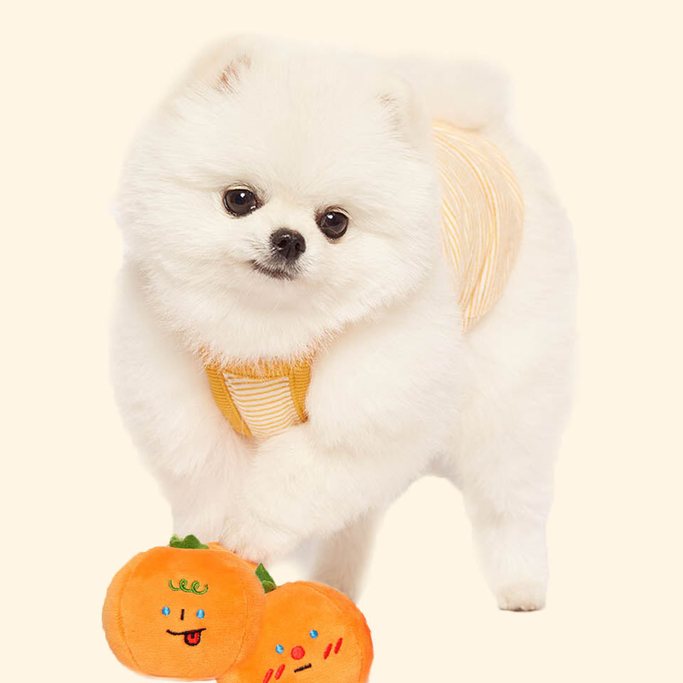 Mini Trio Pumpkins Set