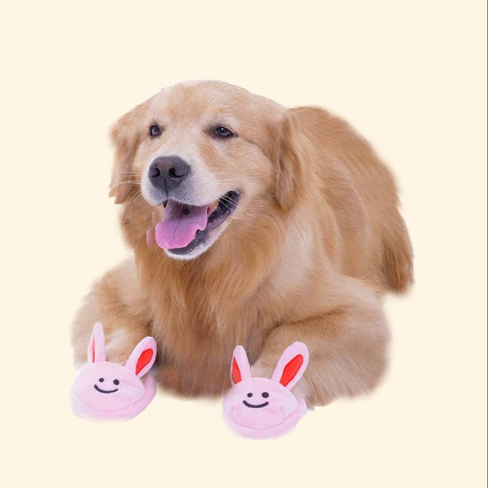 Little Bunny Hotel Kits