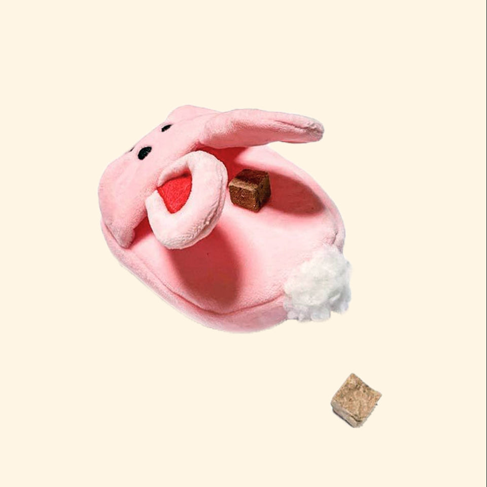 Little Bunny Hotel Kits