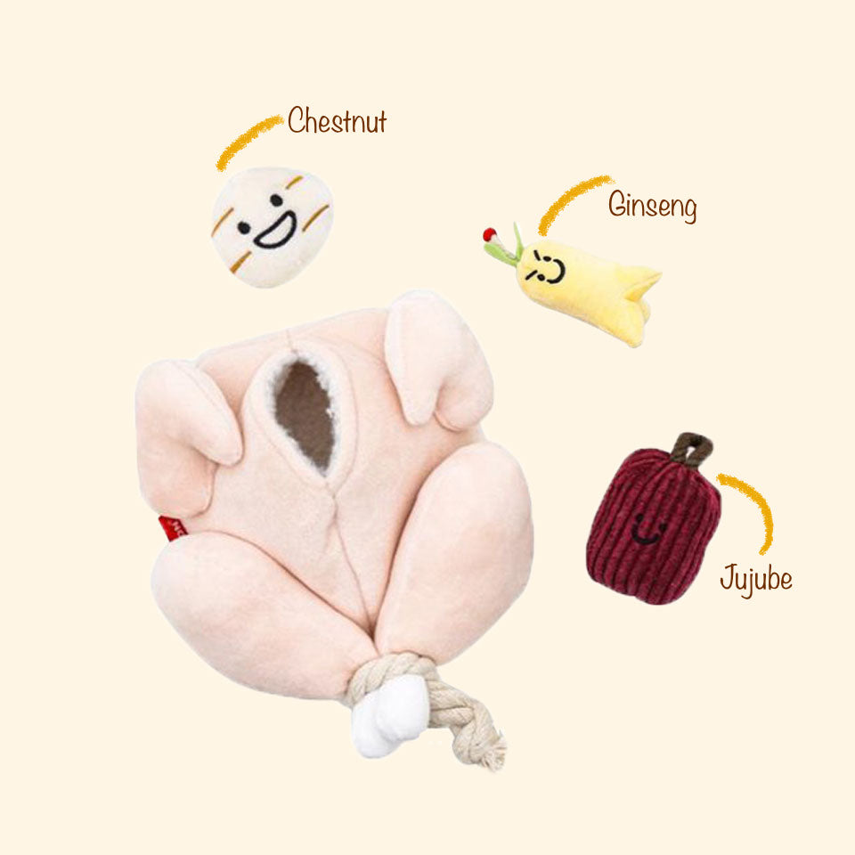 Ginseng Chicken Soup Set
