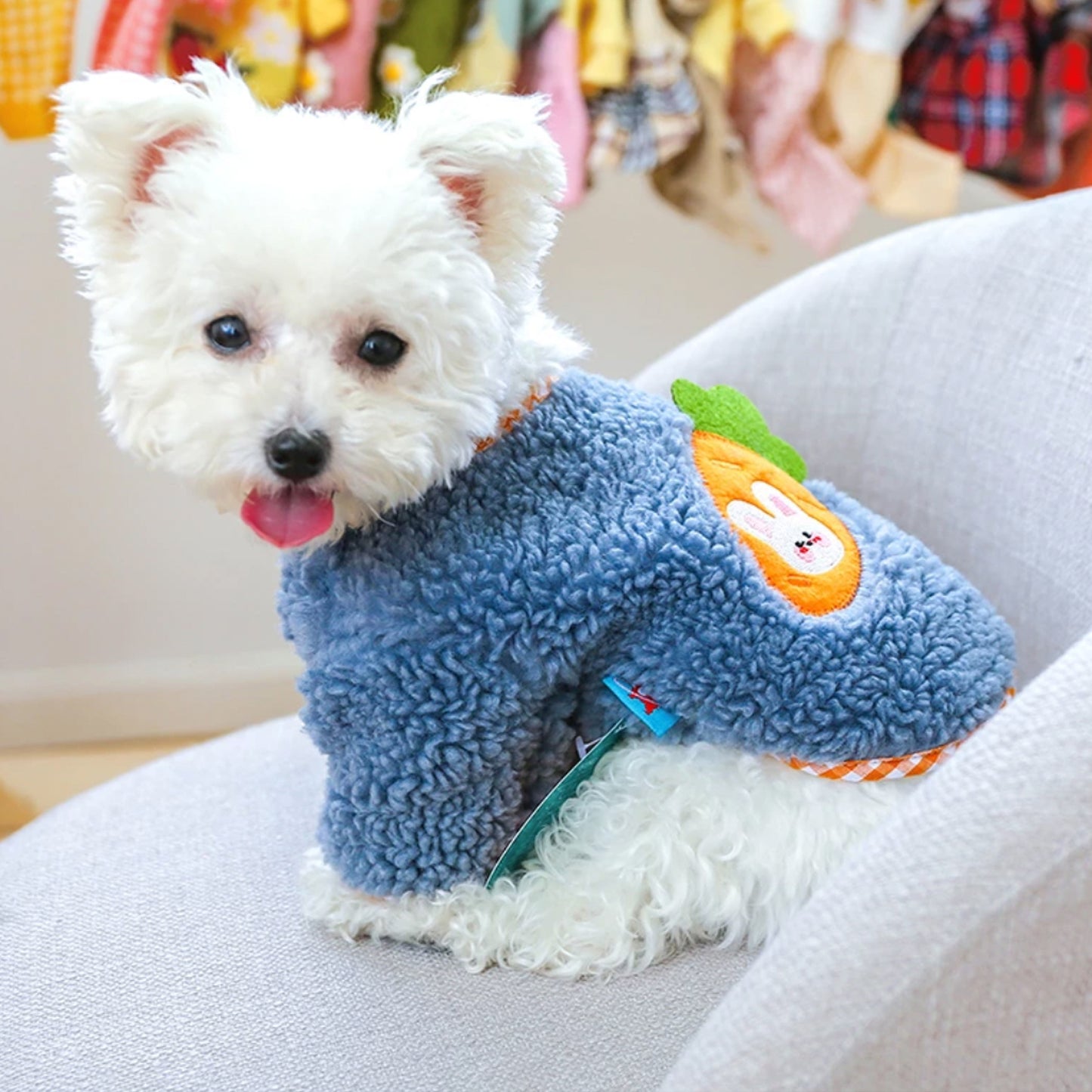 Fluffy Bunny Carrot Sweater