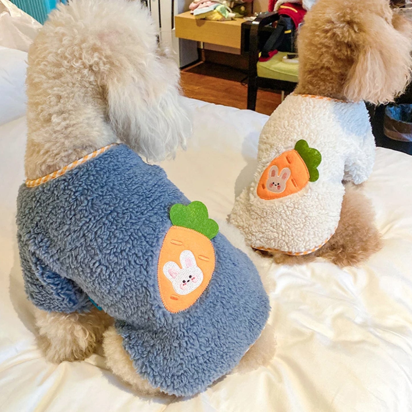 Fluffy Bunny Carrot Sweater
