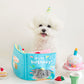 Birthday Party Storybook Puzzle Toy