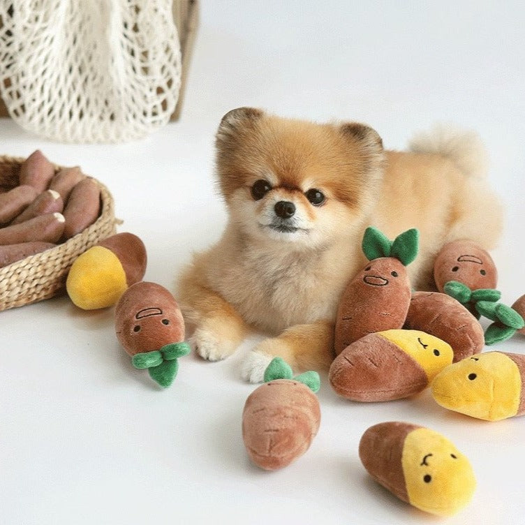 Ramen Nosework Plush Dog Toy