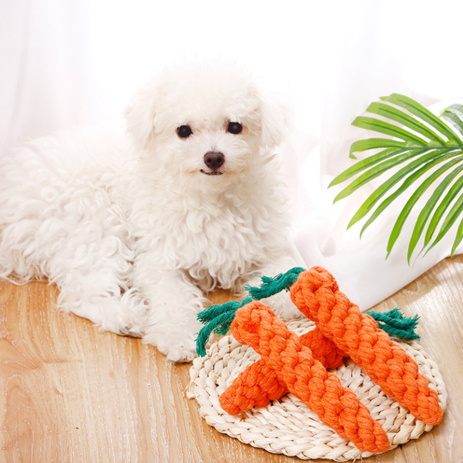Dog Toy - Carrot Rope Toy
