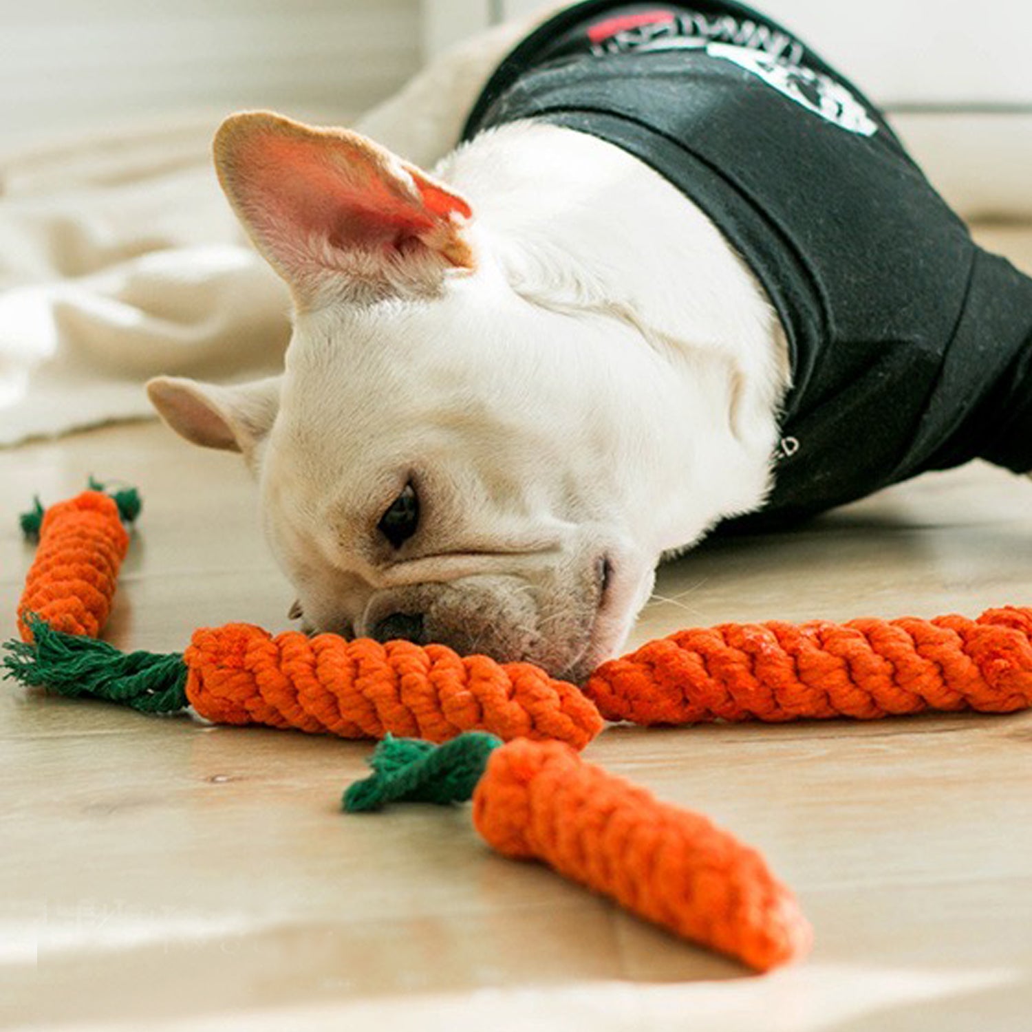 Dog Toy - Carrot Rope Toy