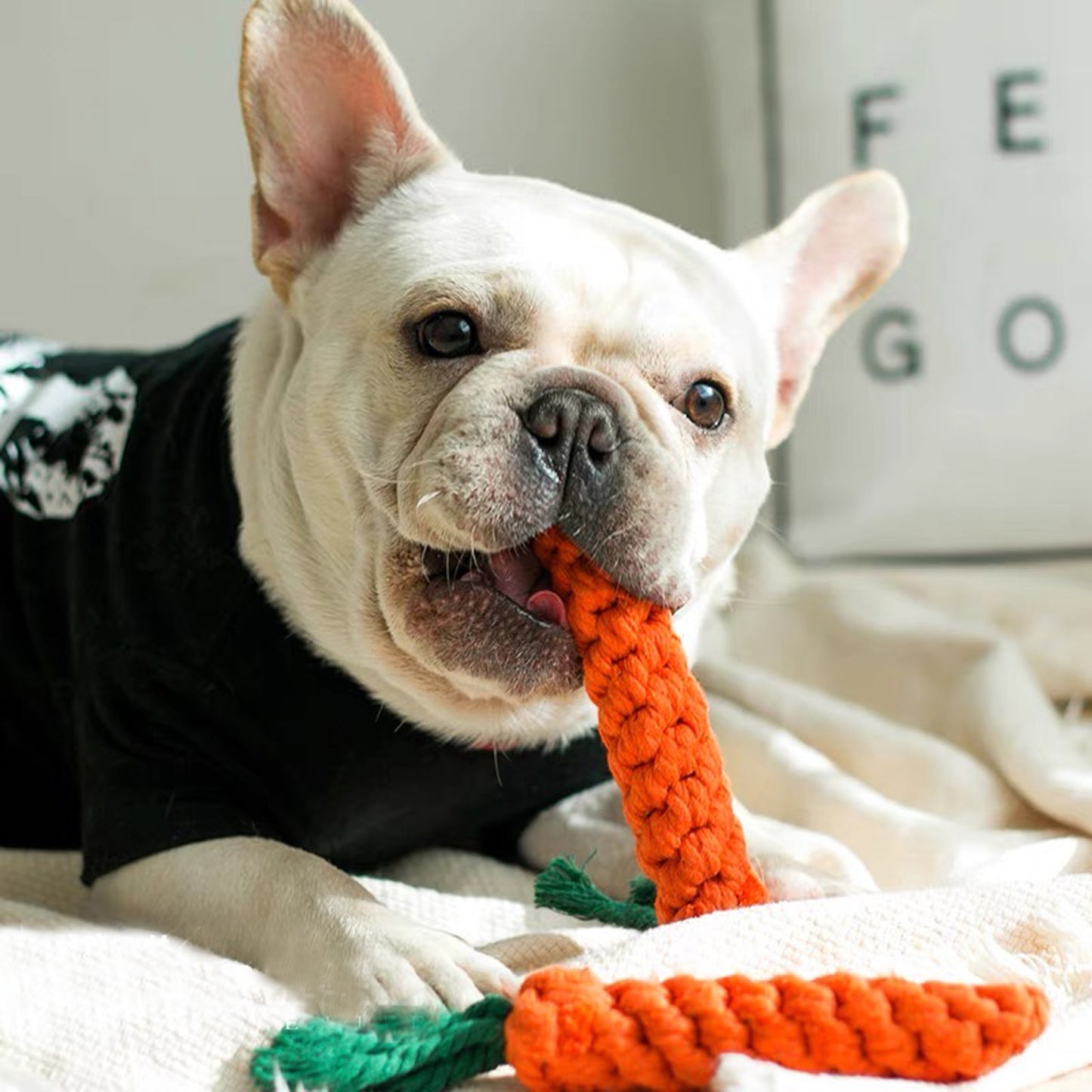 Sweet Carrot Rope Toy