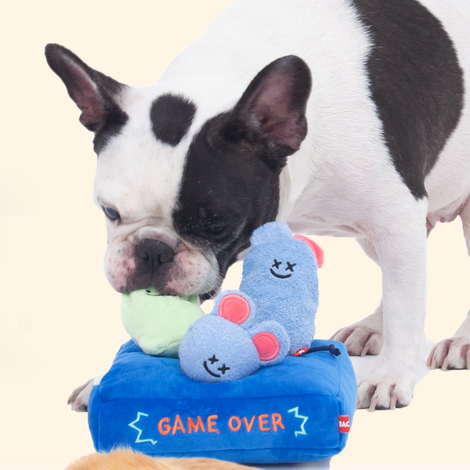 Pet Supplies : HST Interactive Dog Toy - Home Dog Toy, Treat