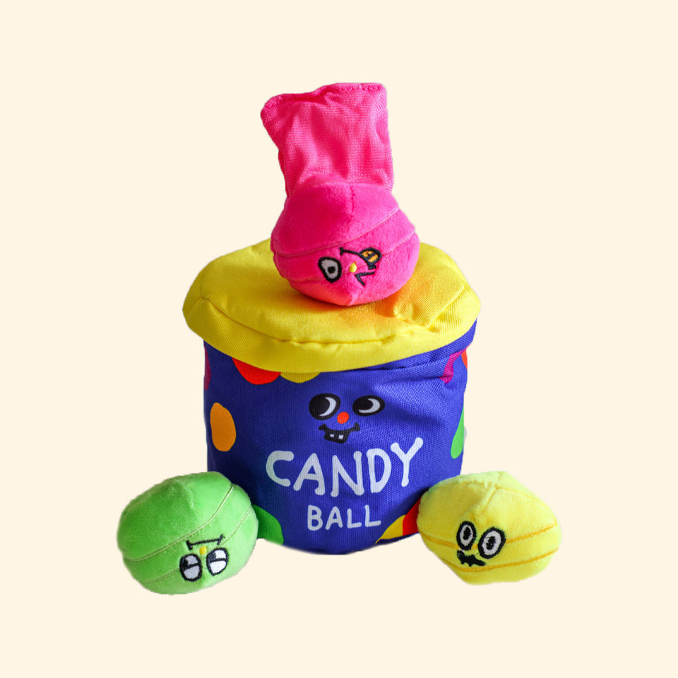 Rainbow Candy Bucket Set Nosework Toy