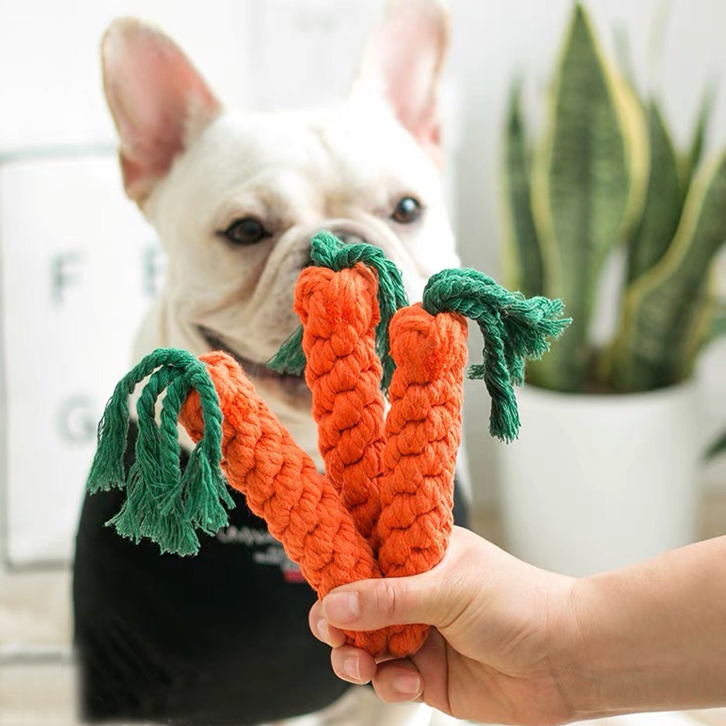 Sweet Carrot Rope Toy