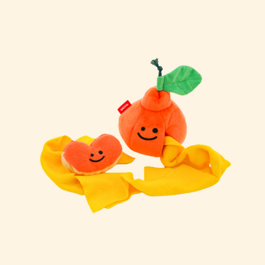 Tangerine Nosework Toy