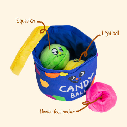 Rainbow Candy Bucket Set Nosework Toy