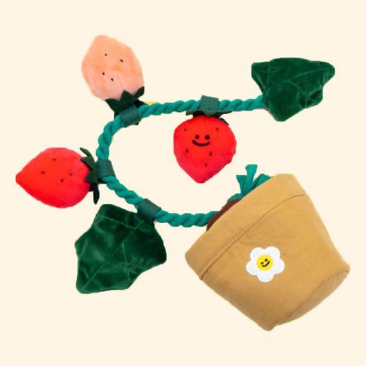 Strawberry Potted Plant Sniff Toy